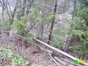 Mountain Blowjob with a Kinky Brunette