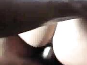 Horny Hot Wife Jumping on BBC's Cock Hard