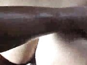 Horny Hot Wife Jumping on BBC's Cock Hard