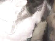 husband cheers on his wife wile she fuck a bbc