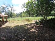 Quick BJ at Abandoned House: Amateur Couple's Cumshot Adventure