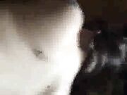 Anal fucked by a black cock while cheating on her boyfriend