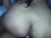 hotwife having fun with a hot black stud