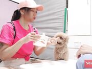 Lucky Guy Orders Delivery and Gets a Beautiful Big-Breasted Girl