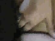 Amateur Milf Hotwife Home Porno Schoolgirl Fantasy