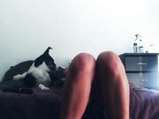 I Need Something to Play With!