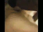 Black stud gets to fuck a couple of white sluts
