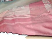 Skinny Teen Rubs Her Pussy – Sri Lankan Solo Webcam Show