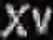 Amateur BBW Wife Sucks Big Black Cock POV