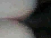 Husband arrived home in the middle of cheating sex