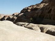 Public Blowjob in Petra - Amateur Babe Swallows Cum