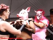 Aliceinbondageland – Folsom Street Fair Public Humiliation – Sissy Piggy Chastity Mistress