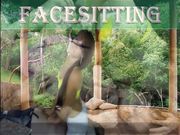 Fetish Dreams By Safa – Safa Ward – Japanese Spy