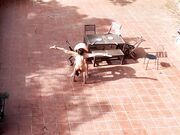 Public Courtyard Blowjob and Fucking with a Hot Brunette Amateur Couple