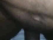 cheating Bbc slut wife taking her first trip to a adult book