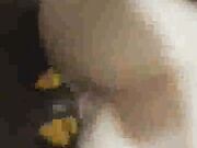 White Slave Blind Folded While Sucking BBC