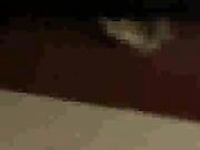 Wife has big orgasm with black bull while husband watches