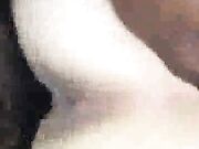 Hotwife Rachelle Getting Pounded in Cabo