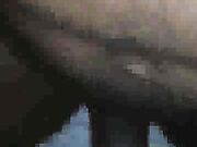 Brunette sluts smokes and get gangbanged