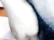 My Slut Wife Getting Fucked By Her Bull in Front of me