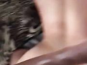 Royal Interracial - Cheating Big Tit Wife Tiffany Star Fucks