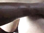 Royal Interracial - Cheating Big Tit Wife Tiffany Star Fucks