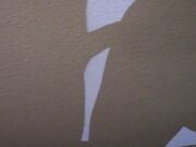 Big-Cock Loving Girl's Amateur Blowjob Video