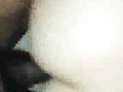 Cuckolding wife having fun with a black stallion