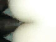 Cuckolding wife having fun with a black stallion