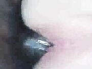 Cuckolding wife having fun with a black stallion