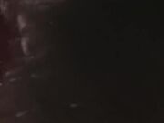 Suck n' Swallow: Anal, Blowjob, Cumshot Party