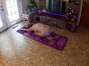 Yoga, Blowjob and Cumshot with a Hot Milf