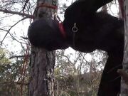 Hard Fucking in Heels: Screams, Moans, Orgasms & BDSM