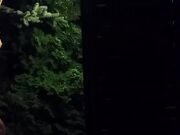 Public Garden Party Turns Into a Hardcore Orgy