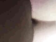 Cuckold hot wife gets caught from behind