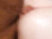 Wife has b. orgasm with black bull while husband watches