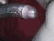 Gorgeous Wife Ginger Creampied By Black Guy