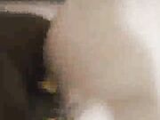 Young Wife With Great Ass Gets Creampie From Big Black Cock