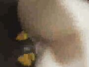 Young Wife With Great Ass Gets Creampie From Big Black Cock