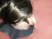 Adventurous wife seeks BBC to ride in Vegas