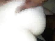 Freaky Wife Fucked while Husband was out shopping