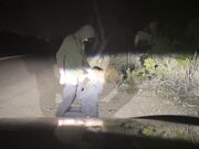 Pulled Over to Fuck Blonde Babe on the Roadside