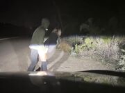 Pulled Over to Fuck Blonde Babe on the Roadside