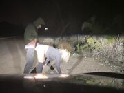 Pulled Over to Fuck Blonde Babe on the Roadside