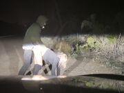 Pulled Over to Fuck Blonde Babe on the Roadside