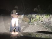 Pulled Over to Fuck Blonde Babe on the Roadside