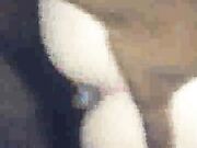 Redhead wife Layla Redd gets her mature pussy pounded