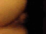 dirty white wife got a hard breeding session