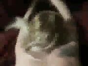 Cheating Japanese wife – secret JAV movie revealed