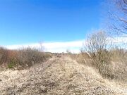 Naked Blonde Russian Teen Walks on the Farm